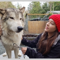 Looking for a roommate in Jersey City / Hoboken, Queens, Brooklyn, Manhattan - New York