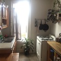 Room for rent in Crown Heights #3