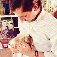 Looking for a roommate in Orange County - Los Angeles