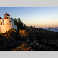 Looking for a roommate