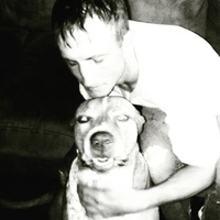 Looking for a roommate in North Austin, North Central Austin - Austin