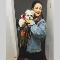 Looking for a roommate in Central Los Angeles, The Verdugos, Southeast, San Fernando Valley, Westside / South Bay - Los Angeles