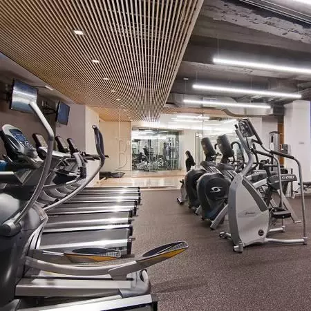 1 bedroom apartment for rent in Financial District - Manhattan, New York