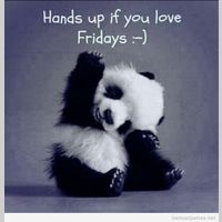 Looking for a roommate in Queens - New York