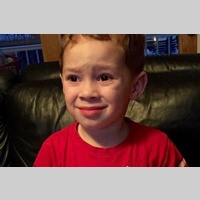 Looking for a roommate