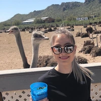 Looking for a roommate in West Austin, South Central Austin, Central Austin - Austin