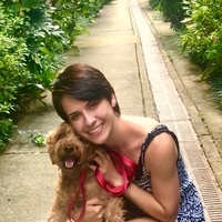 Looking for a roommate in Manhattan - New York