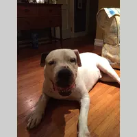 Looking for a roommate in Miami Dade, Miami - Miami