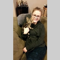 Looking for a roommate in Queens, Brooklyn, Manhattan - New York