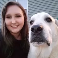 Looking for a roommate in East Austin, North Central Austin, Central Austin - Austin