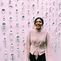 Looking for a roommate in North Side, West Side, Central - Chicago