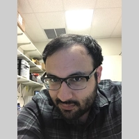 Looking for a roommate in West Houston, Nw Houston, Inner Loop - Houston