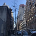 Room for rent in Midtown West #5
