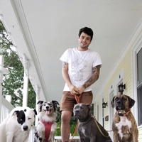 Looking for a roommate in Brooklyn - New York