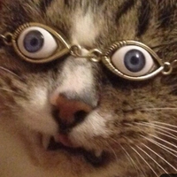 Looking for a roommate in Central Los Angeles, San Gabriel Valley, Orange County, Southeast, San Fernando Valley, The Harbor, Westside / South Bay - Los Angeles