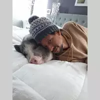 Looking for a roommate in Forth Worth - Dallas