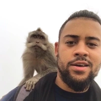 Looking for a roommate in Jersey City / Hoboken, The Bronx, Queens, Brooklyn, Manhattan - New York