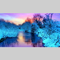 Looking for a roommate