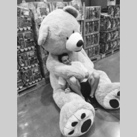 Looking for a roommate in North Side - Chicago