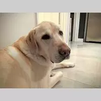 Looking for a roommate in Manhattan - New York