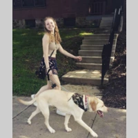 Looking for a roommate in Jersey City / Hoboken, The Bronx, Queens, Brooklyn, Manhattan - New York