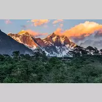 Looking for a roommate in Jersey City / Hoboken, The Bronx, Staten Island, Queens, Brooklyn, Manhattan - New York