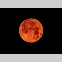 Looking for a roommate