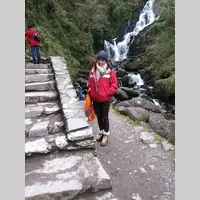 Looking for a roommate in North Side, Far North Side - Chicago