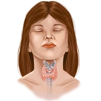 Looking for a roommate in Manhattan - New York