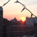 Room for rent in Crown Heights #10