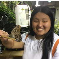 Looking for a roommate in Palm Beach County, Miami Dade, Miami, Broward County - Miami