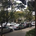 Room for rent in Pacific Heights #2