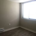 Room for rent in Pacific Heights #8