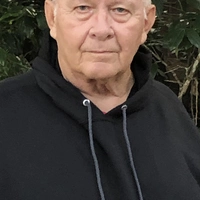 Looking for a roommate