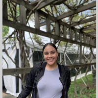 Looking for a roommate in The Bronx, Manhattan - New York