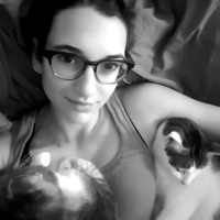 Looking for a roommate