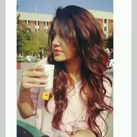 Looking for a roommate in Brooklyn, Manhattan - New York