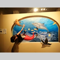 Looking for a roommate in Northwest Side, North Side, West Side, Central - Chicago