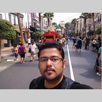 Looking for a roommate in Jersey City / Hoboken, Queens, Brooklyn, Manhattan - New York