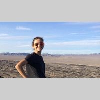 Looking for a roommate