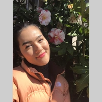 Looking for a roommate