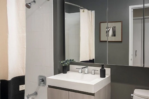 1 bedroom apartment for rent in LIC - Queens, New York