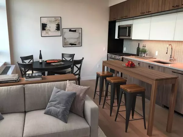 1 bedroom apartment for rent in LIC - Queens, New York