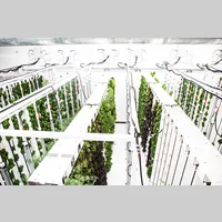 Looking for a roommate in South Philadelphia - Philadelphia