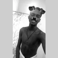 Looking for a roommate in Brooklyn - New York