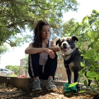 Looking for a roommate in Inner Loop - Houston