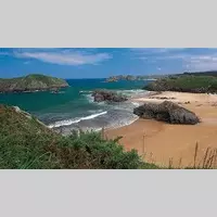 Looking for a roommate in Miami Dade, Miami Beach, Miami, Broward County - Miami