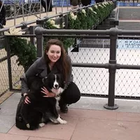 Looking for a roommate in Brooklyn - New York