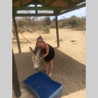 Looking for a roommate in Queens, Brooklyn - New York