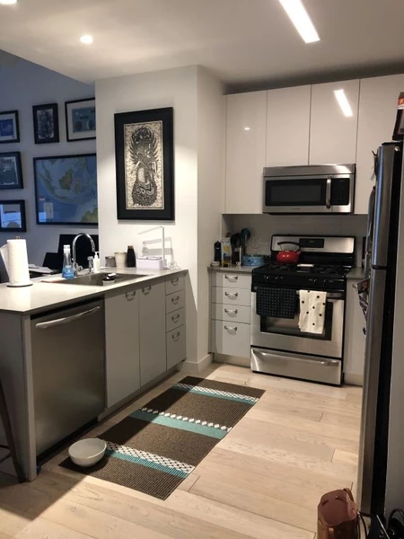 1 bedroom apartment for rent in LIC - Queens, New York